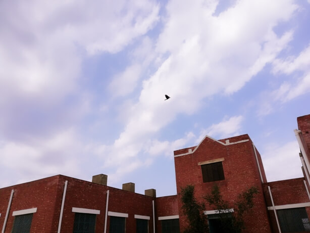 A building with a bird and sky