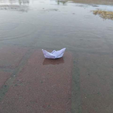 Paper boat and rain water