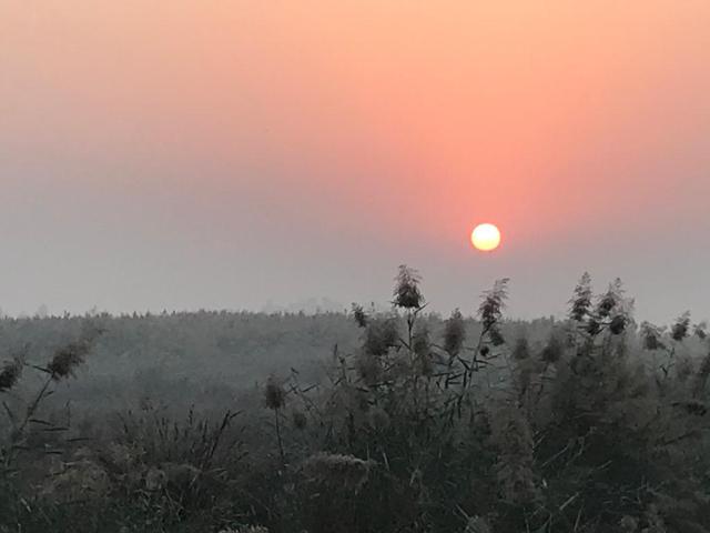 Sunrise beauty from wild