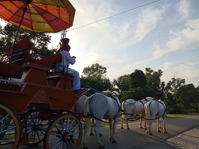 Buggy ride is ready on a road