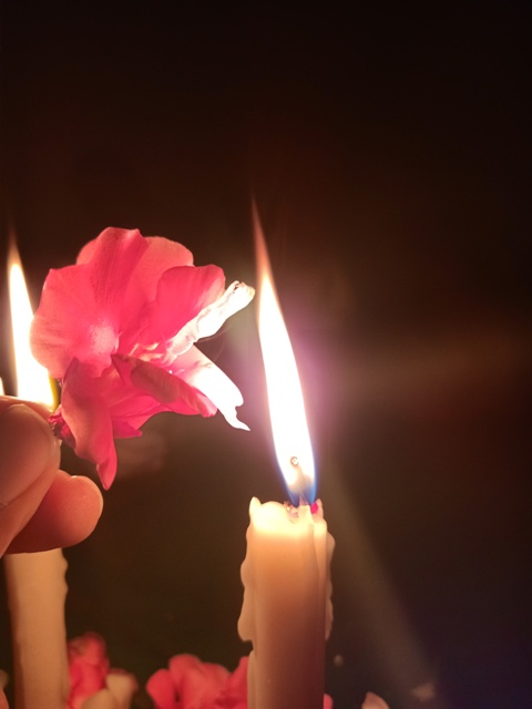 Aesthetic candle light fire with flower