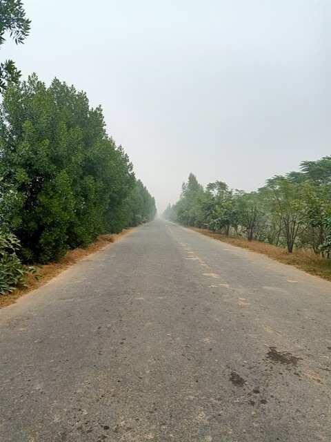A road with green belt