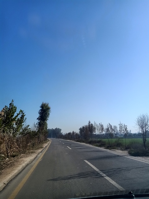 A road in the morning