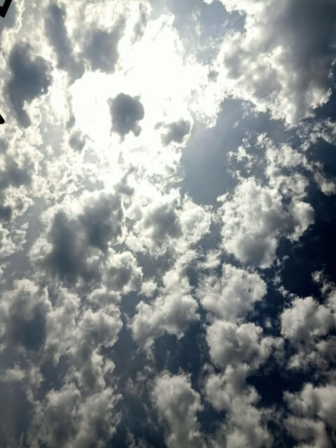 Sky with scattered clouds 