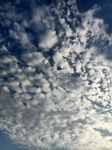 Clouds like white cotton 