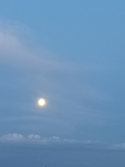 Evening sky with a full moon