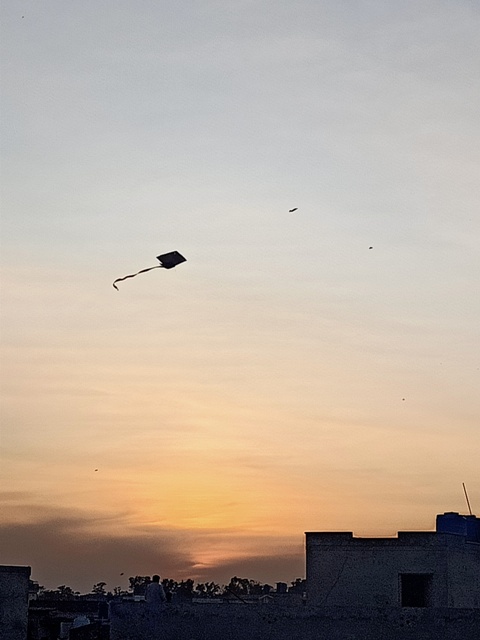 Sunset with kite