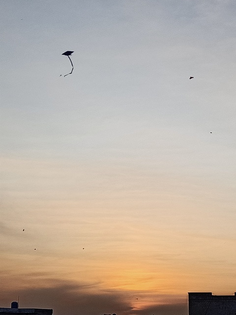 Sunshine with kite flight