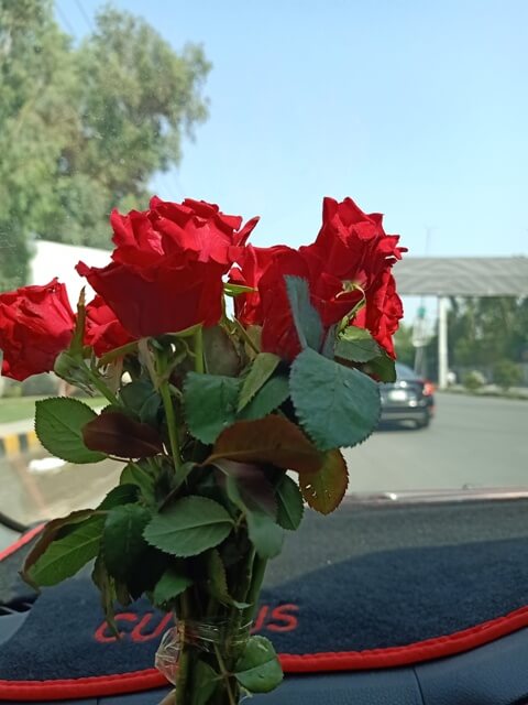 Red roses with a road view 
