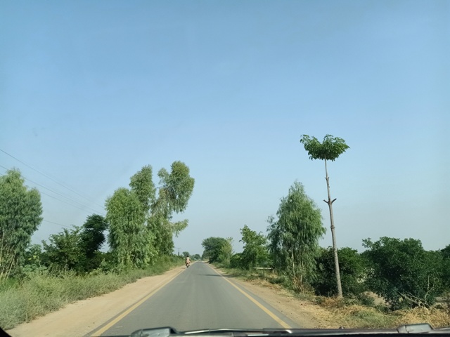 Beautiful road to a city with trees