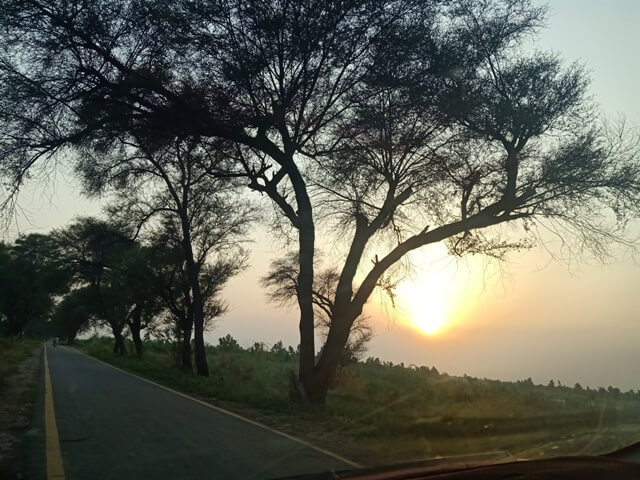 Sunset on a road