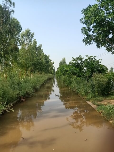 A canal on a road side