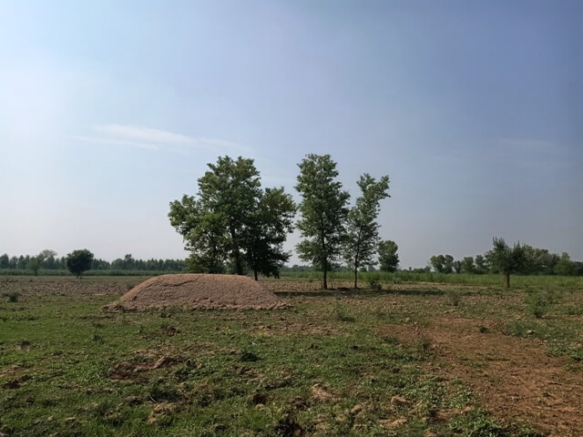 A field in a village