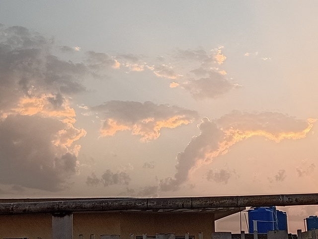 Dolphin shaped clouds 