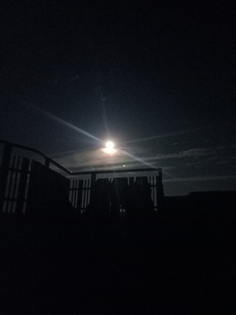 Dark night with full moon 