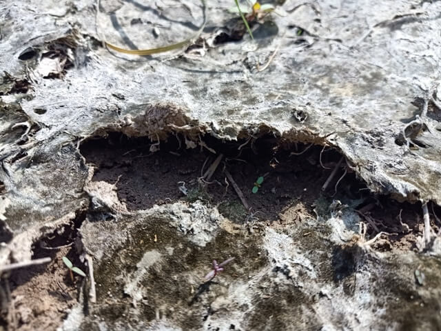Close up of soil texture after water logging