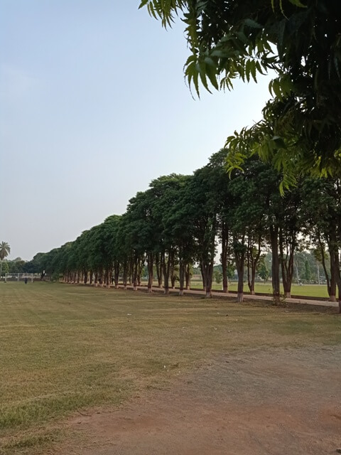 A lawn with beautiful trees
