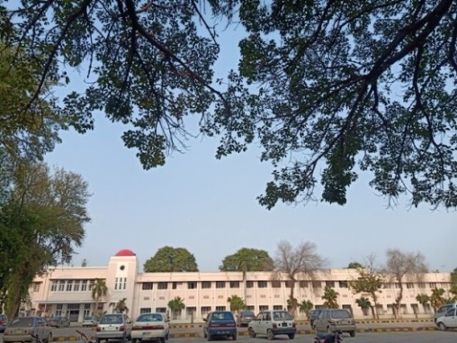 A departmental building with beautiful trees 