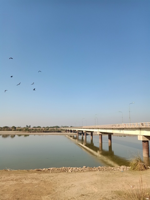 A road bridge with birds and river