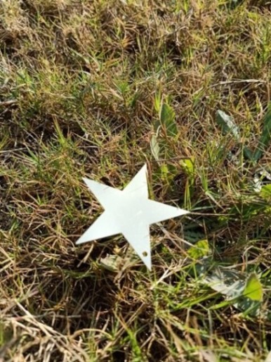 A star on the grass ground