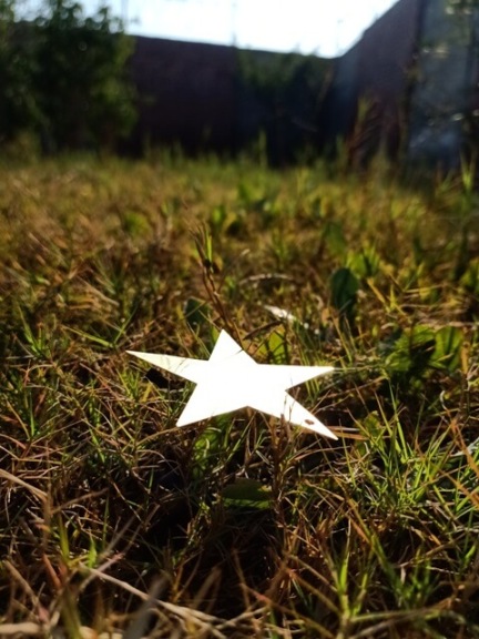 Star on the ground of a garden