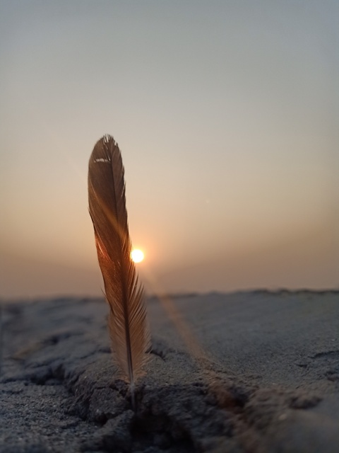 Aesthetic sunset picture with feather