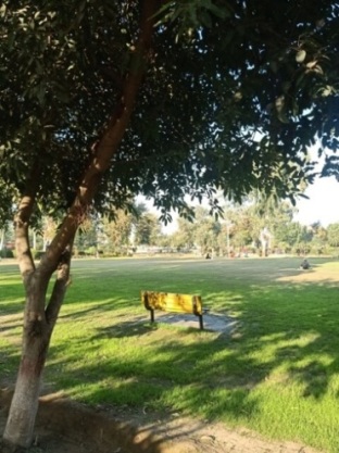 A peaceful park view with a bench
