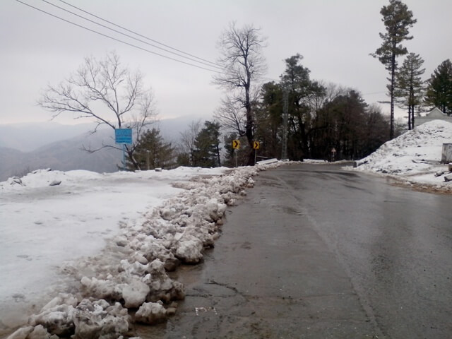 Snowy road side