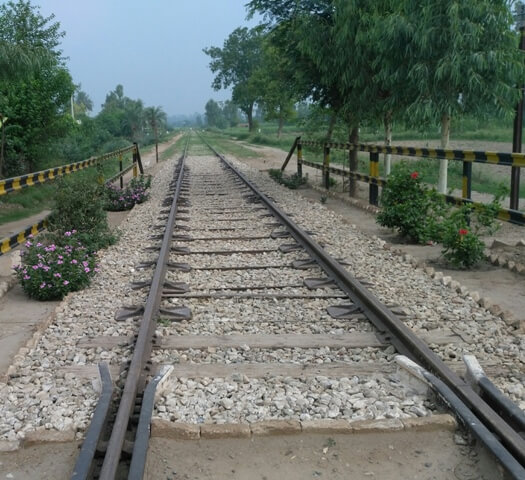 A railway line with flowers on sides
