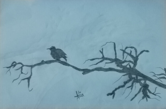 pencil sketch of a leafless tree branch with bird