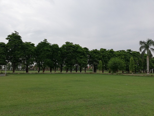 Tree line with lush green garden