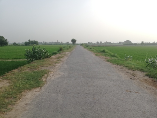 Road to a village in the morning