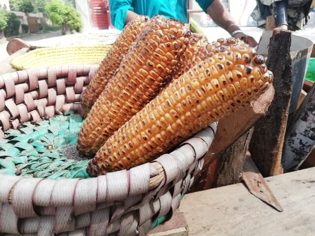 Roasted corn stall on road