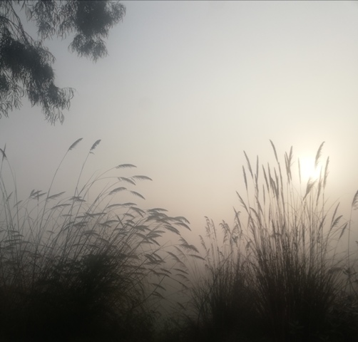 Sunrise in foggy weather