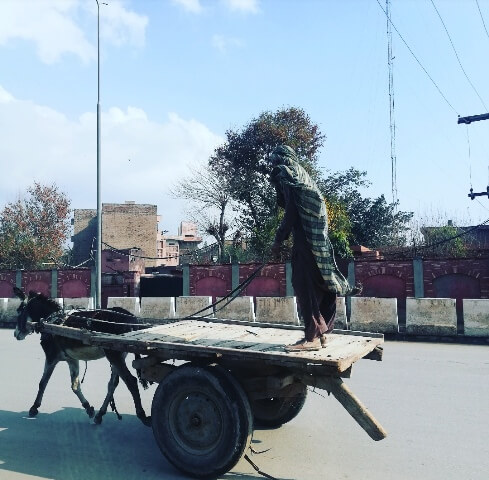 A man with his donkey cart on a road