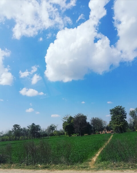 White beautiful clouds with crops view 