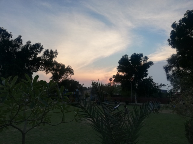 Evening sky in a park 