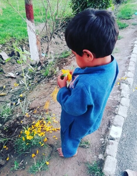 A small boy playing with flower in park