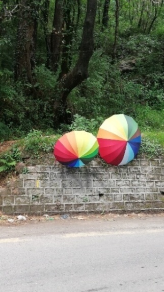 colorful umbrella in a hill station