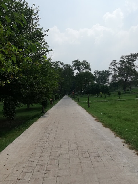 A road in a city park