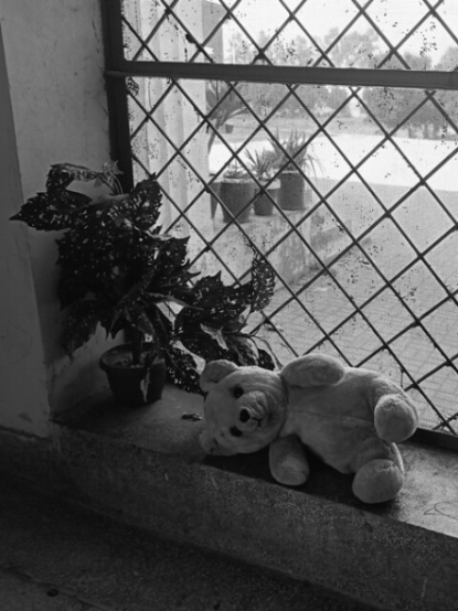 Vintage picture of a teddy bear in window