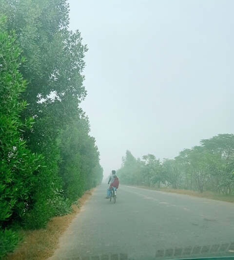 Foggy road in a village 