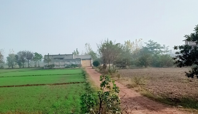 A road to village house