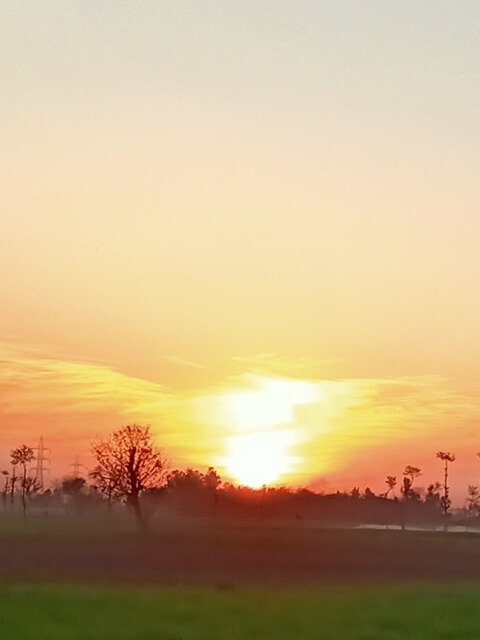 Sunset in fields