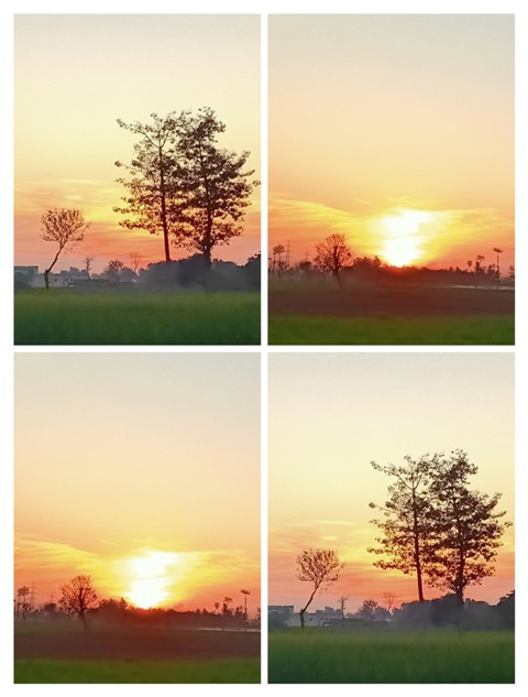 Sunset canvas pictures