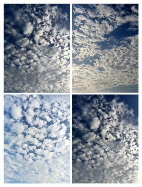 Cloudy sky collage 