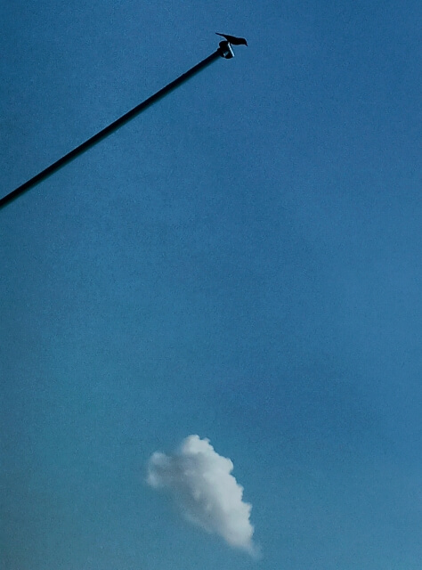 Blue sky with a bird on a pole 
