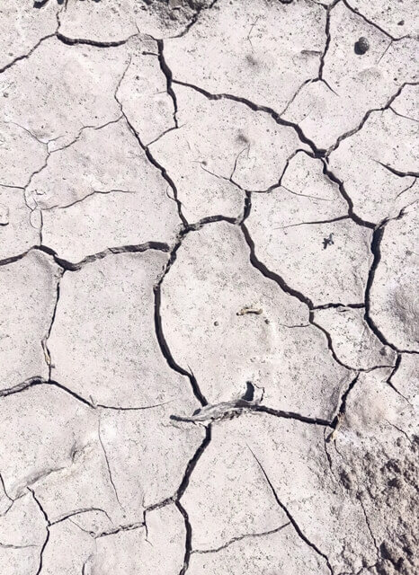 Cracked earth crust due to less rainfall