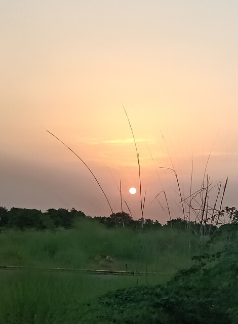 Sunset beauty in fields