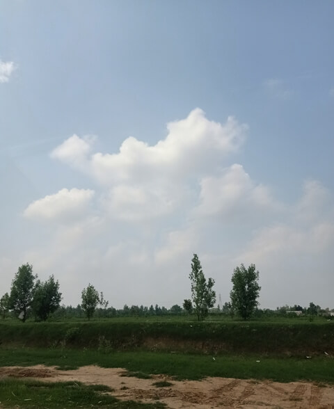 Clouds on fields